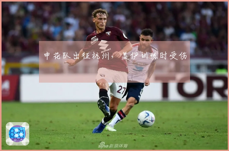 申花队出征杭州，盖伊训练时受伤