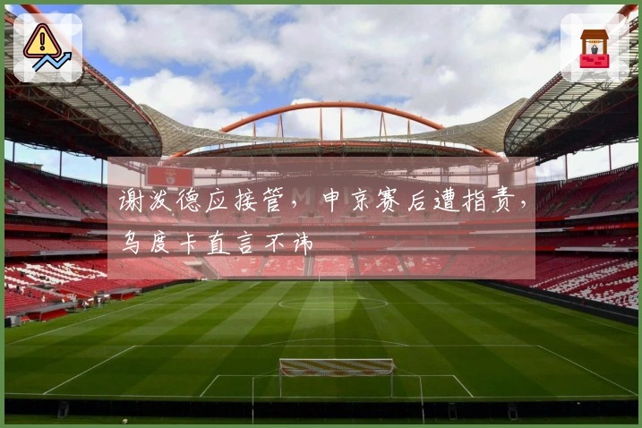 谢泼德应接管，申京赛后遭指责，乌度卡直言不讳
