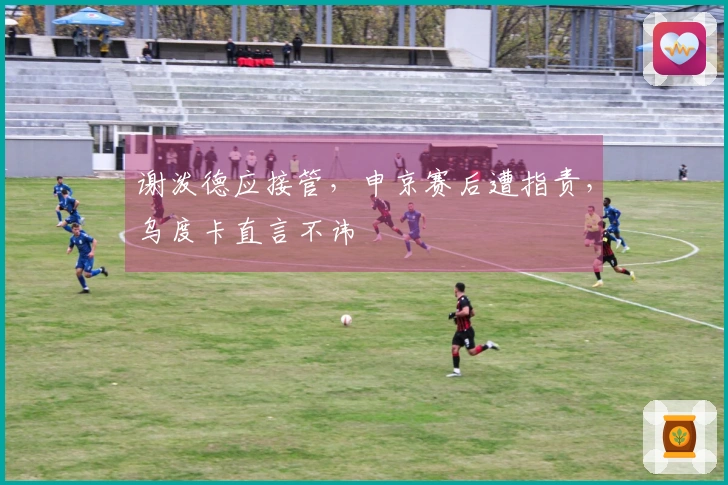 谢泼德应接管，申京赛后遭指责，乌度卡直言不讳