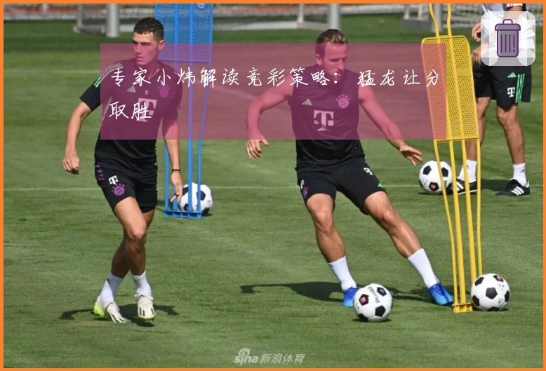 专家小炜解读竞彩策略：猛龙让分取胜